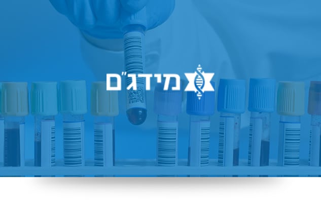 בניית אתרים